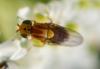 289849 – Photo : Jean-Michel GAREL – France (89)